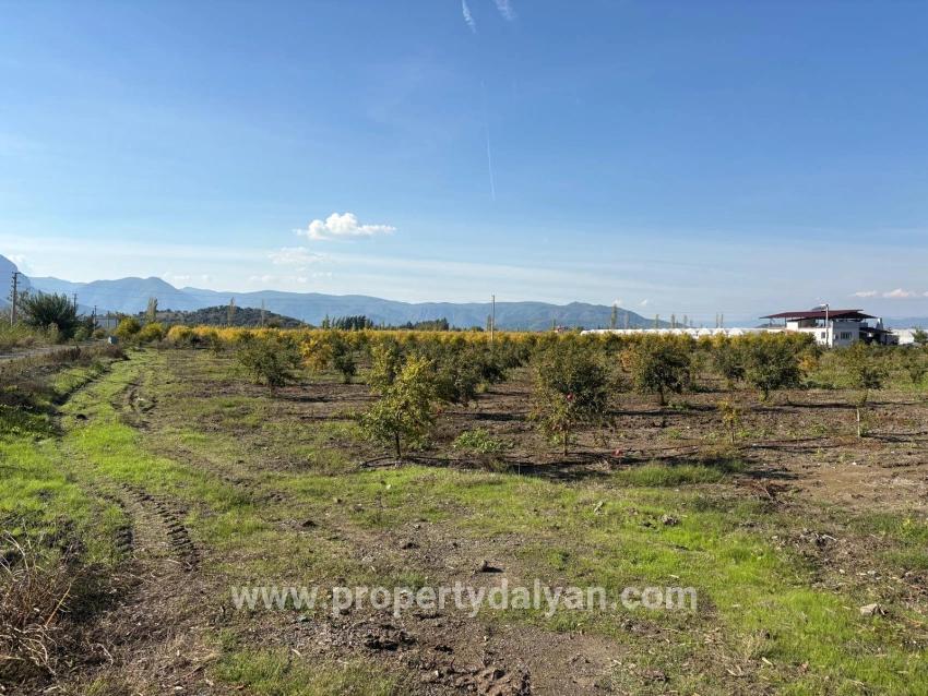 Ortaca Eskiköy Mah. Satılık Tarla - Tarla İmar Durumlu - 21.500 m²