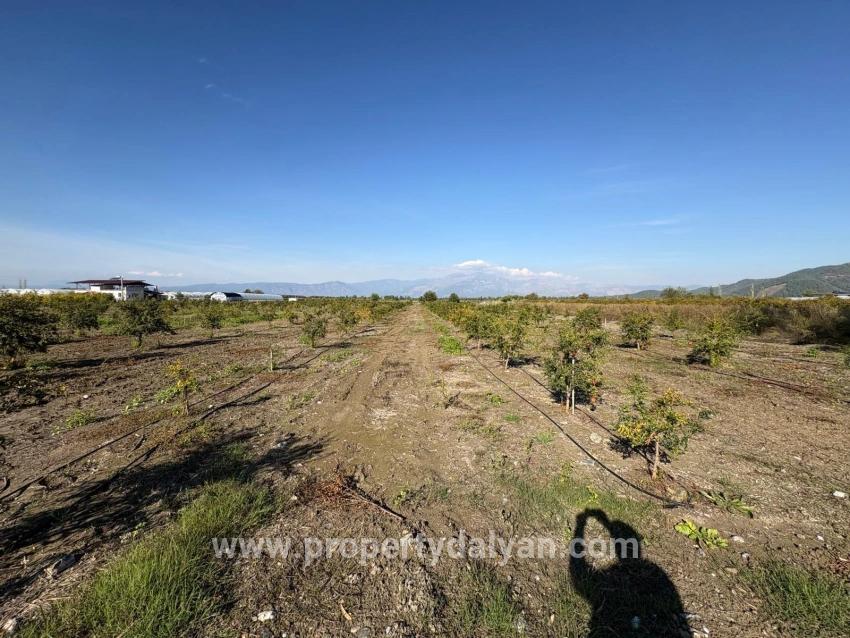 Ortaca Eskiköy Mah. Satılık Tarla - Tarla İmar Durumlu - 21.500 m²