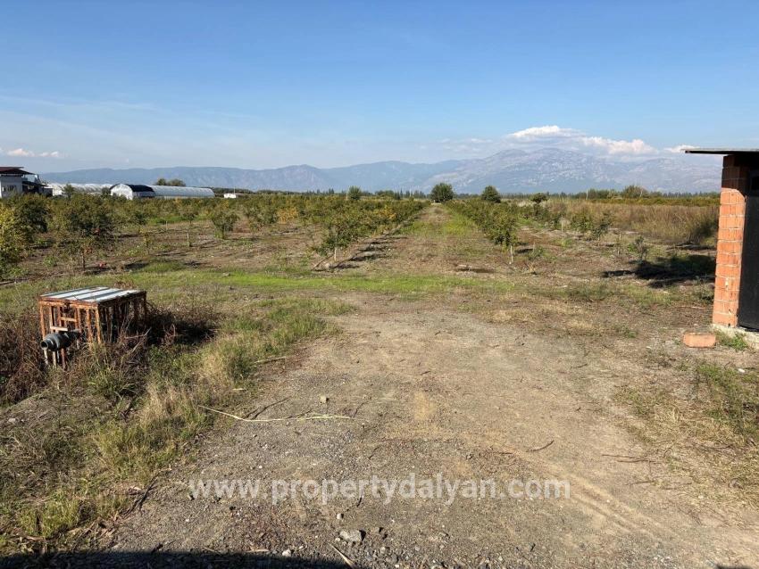 Ortaca Eskiköy Mah. Satılık Tarla - Tarla İmar Durumlu - 21.500 m²