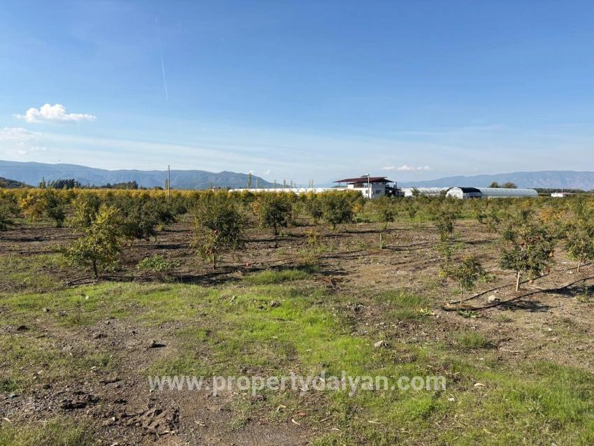 Ortaca Eskiköy Mah. Satılık Tarla - Tarla İmar Durumlu - 21.500 m²