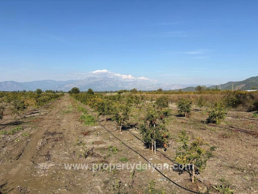 Ortaca Eskiköy Mah. Satılık Tarla - Tarla İmar Durumlu - 21.500 m²