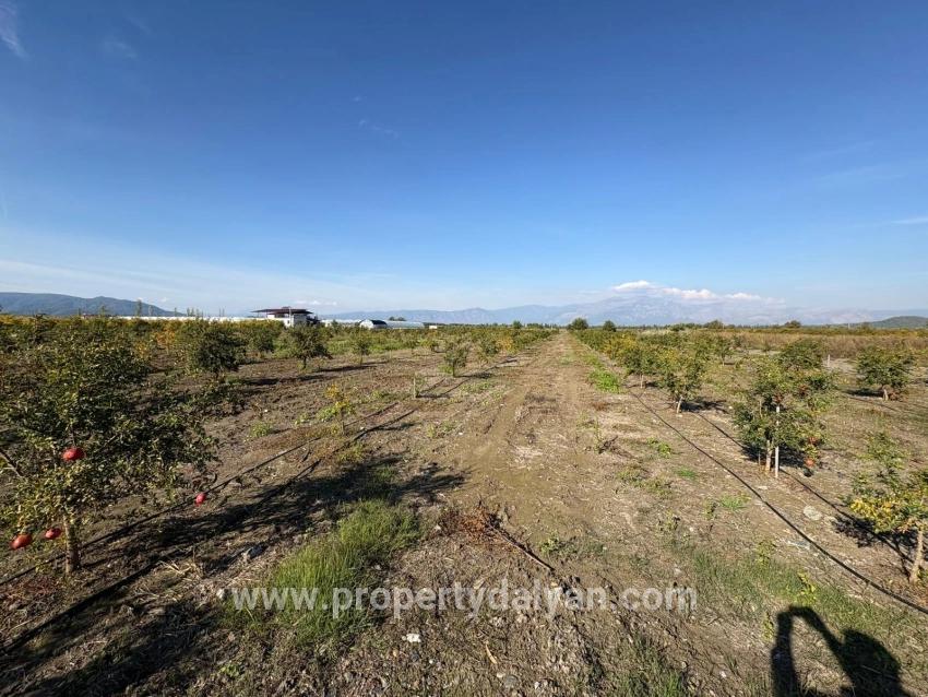 Ortaca Eskiköy Mah. Satılık Tarla - Tarla İmar Durumlu - 21.500 m²