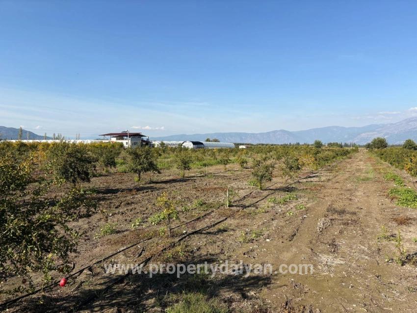Ortaca Eskiköy Mah. Satılık Tarla - Tarla İmar Durumlu - 21.500 m²