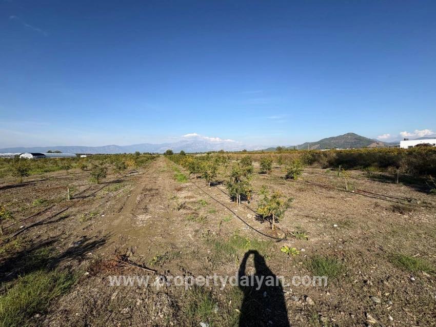 Ortaca Eskiköy Mah. Satılık Tarla - Tarla İmar Durumlu - 21.500 m²