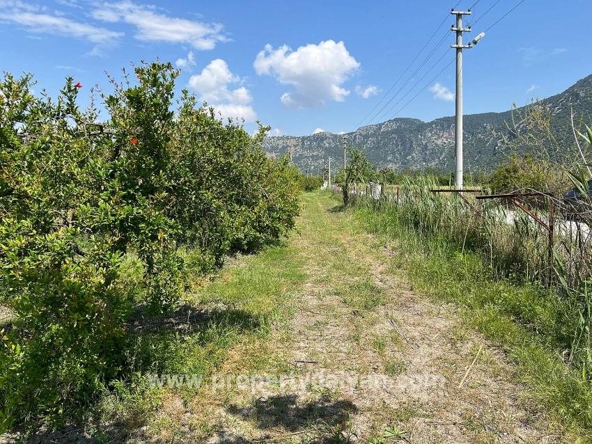 Dalyan Maraş Mevkiinden 5,100m2 %5 Konut İmarlı Satılık Arsa