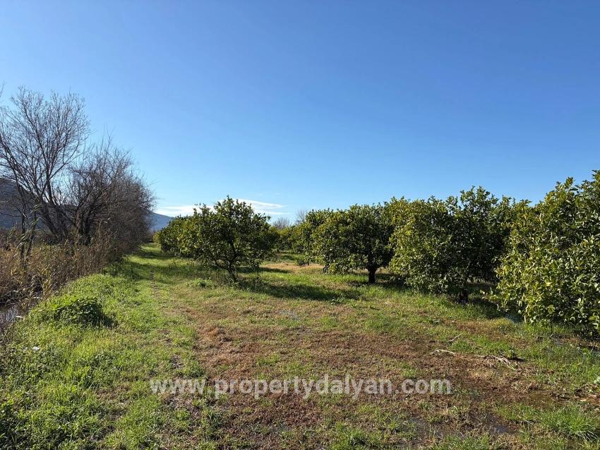 Ortaca Dalyan Mah. Satılık Tarla - Tarla İmar Durumlu - 16.500 m²