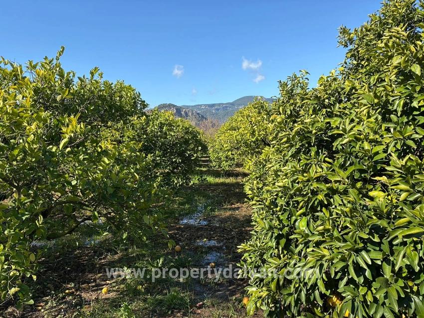 Ortaca Dalyan Mah. Satılık Tarla - Tarla İmar Durumlu - 16.500 m²