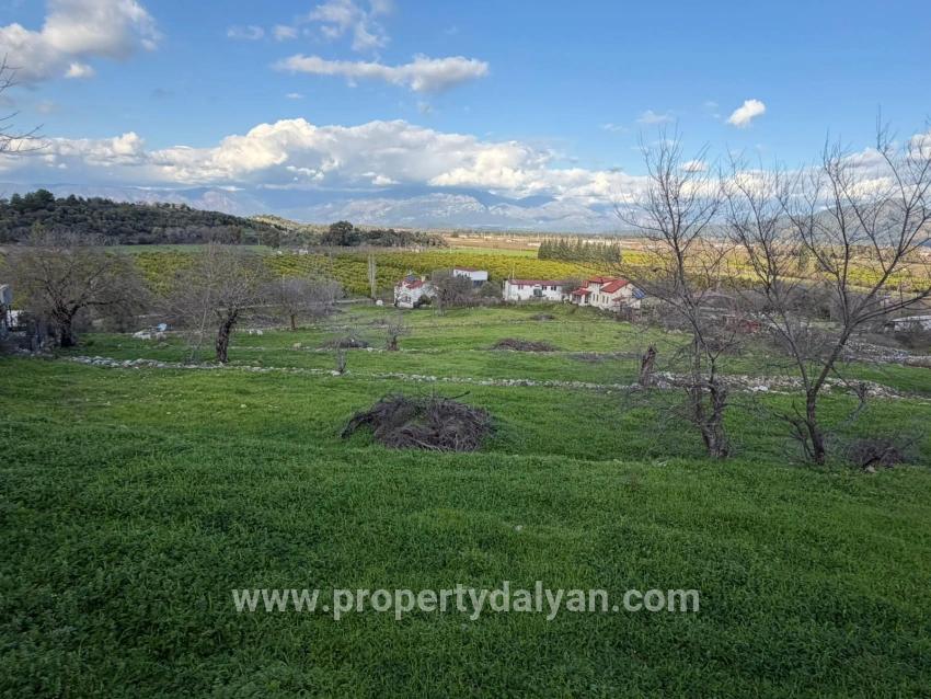 Dalyan'da Göl Manzaralı 11.230m2 Satılık Tarla