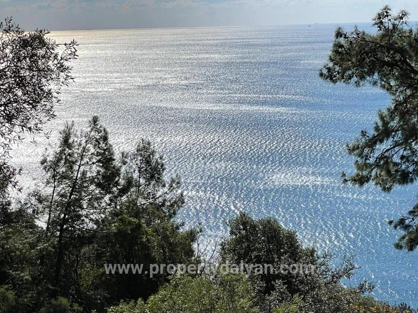 Çandır Full Deniz Manzaralı 20.000m2 Satılık 2b