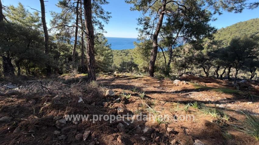 Köyceğiz Çandır Mah. Satılık Tarla - Konut İmar Durumlu - 5.715 m²