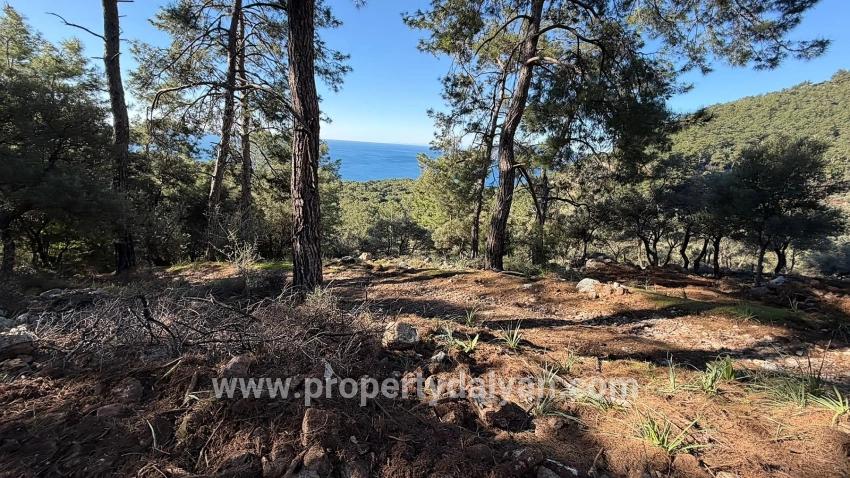 Çandır'da Full Deniz Manzaralı 5715m2 Satılık 2b Tarla