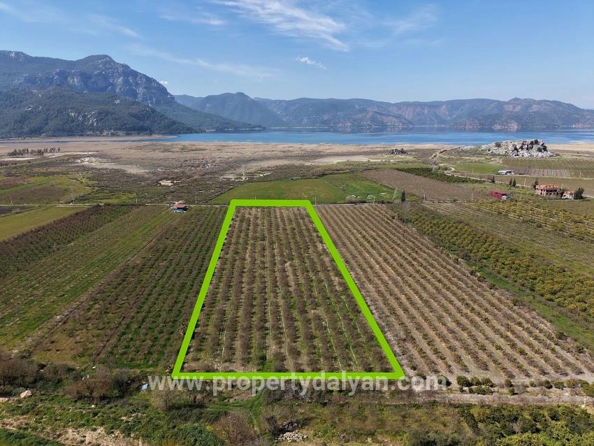 Ortaca Eskiköy Mah. Satılık Tarla - Tarla İmar Durumlu - 16.710 m²