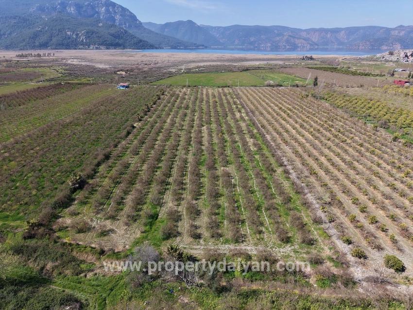 Ortaca Eskiköy Mah. Satılık Tarla - Tarla İmar Durumlu - 16.710 m²
