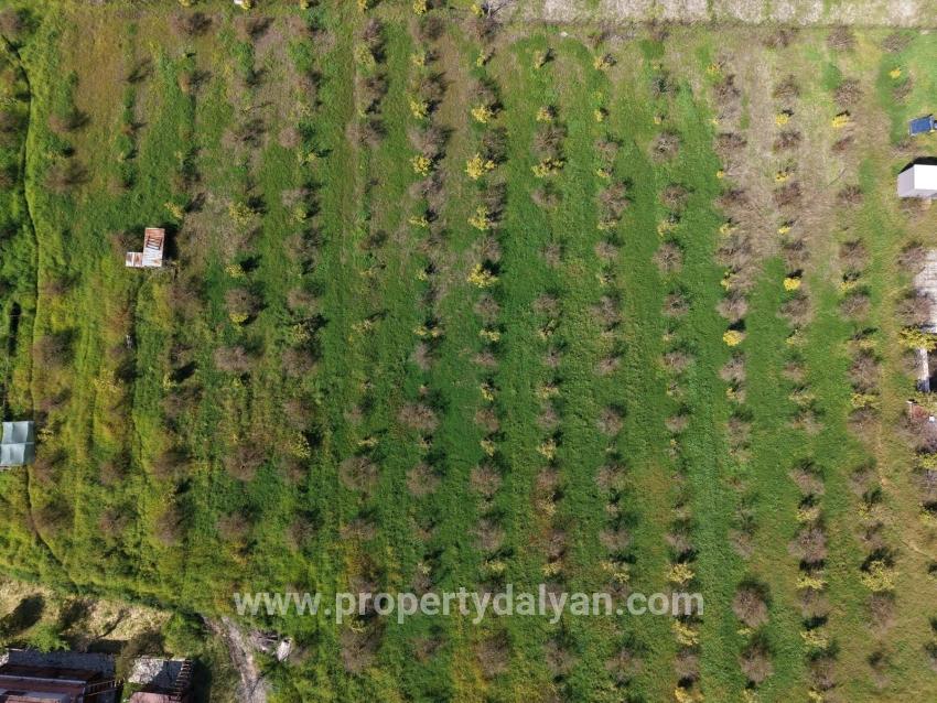 Ortaca Eskiköy Mah. Satılık Pansiyon - 11.000 m²