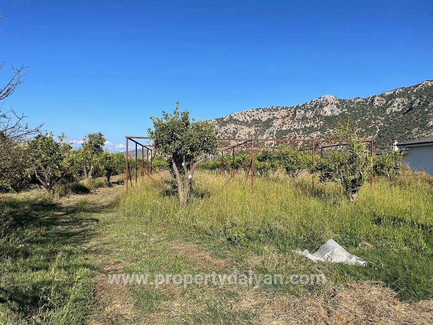 Dalyan'da Merkeze Yakın 6600m2 Satılık Tarla