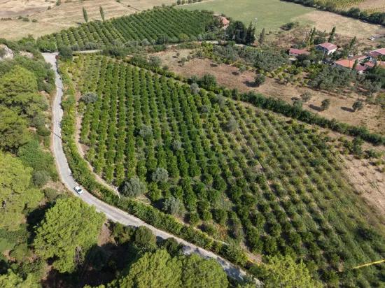 Köyceğiz Çandır Mahallesinde kanala sıfır 20.000m2 satılık tarla