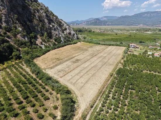 Dalyan'da 20.786m2 satılık tarla