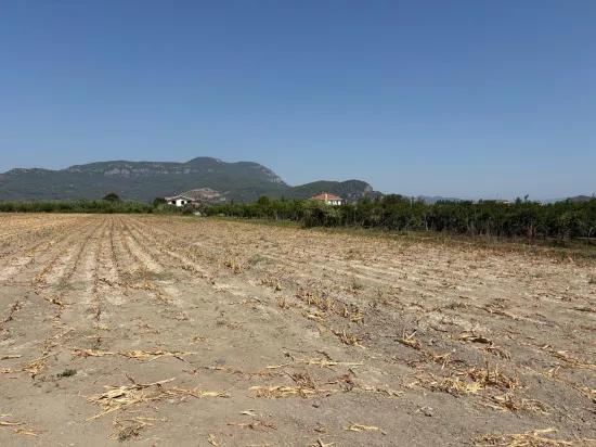 Dalyan'da 20.786m2 satılık tarla