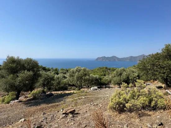 Çandır'da deniz manzaralı 21.000 m2 satılık 2b tarla