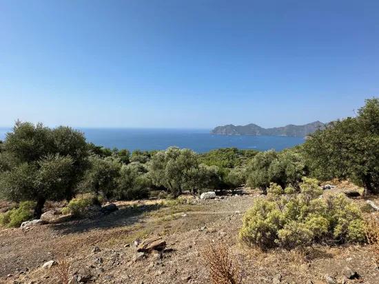 Çandır'da deniz manzaralı 21.000 m2 satılık 2b tarla
