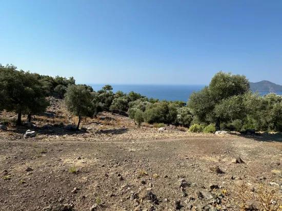 Çandır'da deniz manzaralı 21.000 m2 satılık 2b tarla