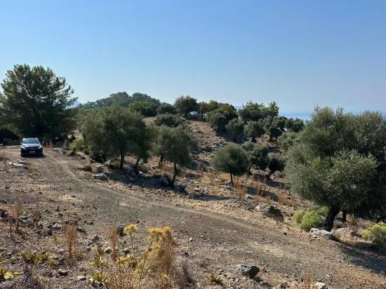 Çandır'da deniz manzaralı 21.000 m2 satılık 2b tarla