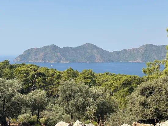 Çandır'da deniz manzaralı 21.000 m2 satılık 2b tarla