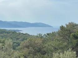 Köyceğiz Ekincik Mah. Satılık Tarla - Zeytinlik İmar Durumlu - 7.000 m²