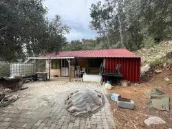 Köyceğiz Ekincik Mah. Satılık Tarla - Zeytinlik İmar Durumlu - 7.000 m²
