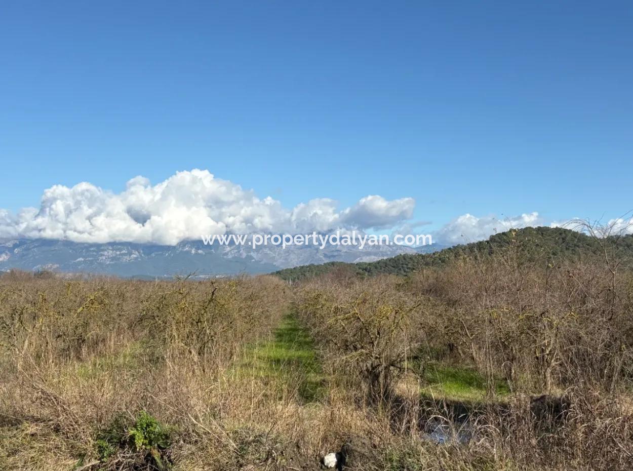 Tepearasın'da 23,000M2 Müstakil Satılık Tarla Bahçe