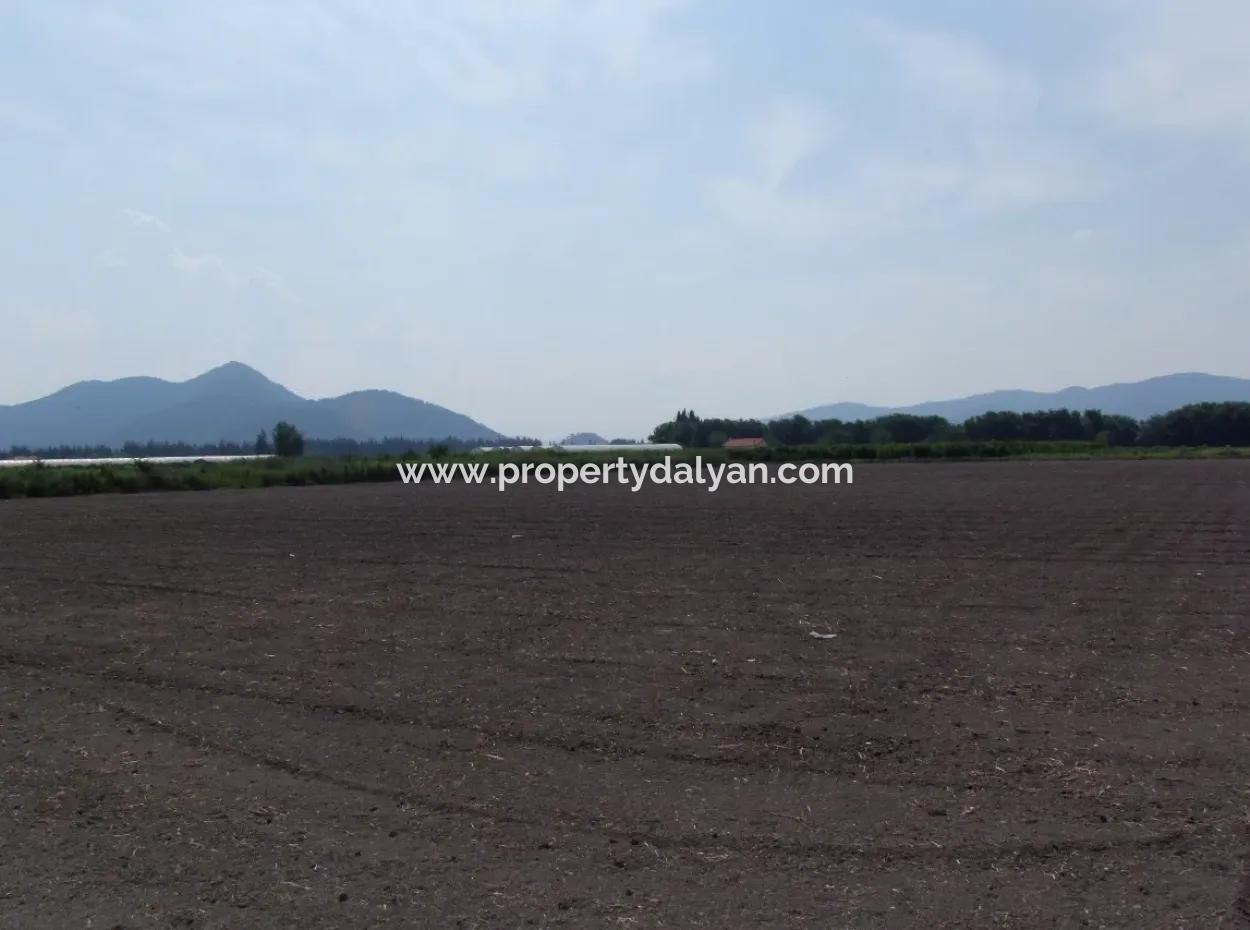 Eskiköyde Satılık Arsa Tarla Ortaca Dalyan Eskiköyde 15,760M2 Satlık Arsa Tarla
