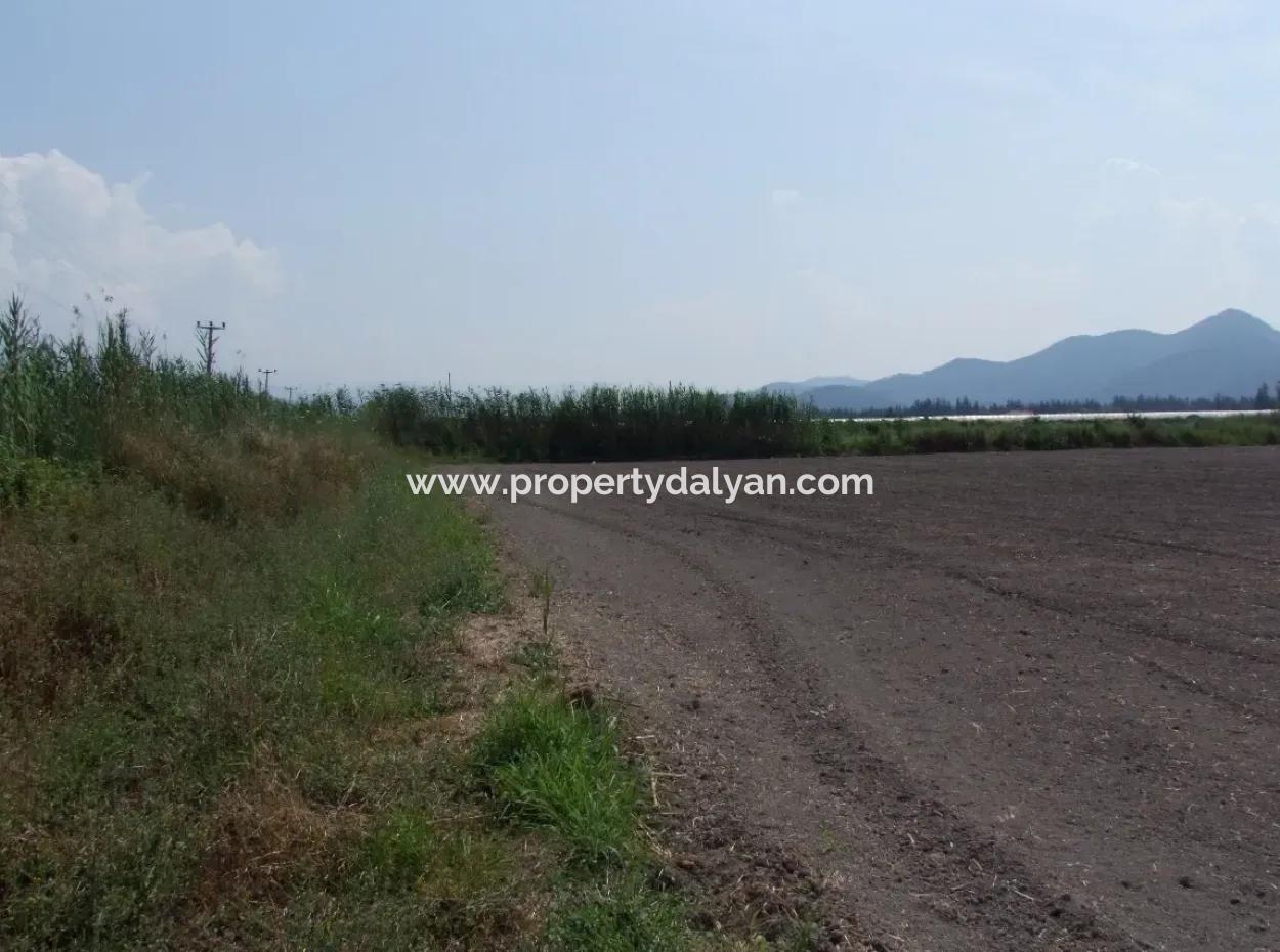 Eskiköyde Satılık Arsa Tarla Ortaca Dalyan Eskiköyde 15,760M2 Satlık Arsa Tarla