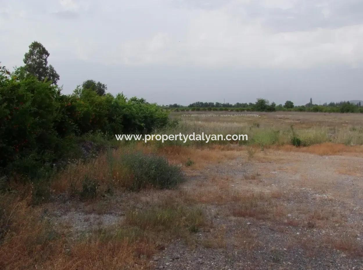 Dalyan Satılık Ticari Arsa Dalyan Anayol Üzerinde 17,805M2 Satılık Kelepir Arsa