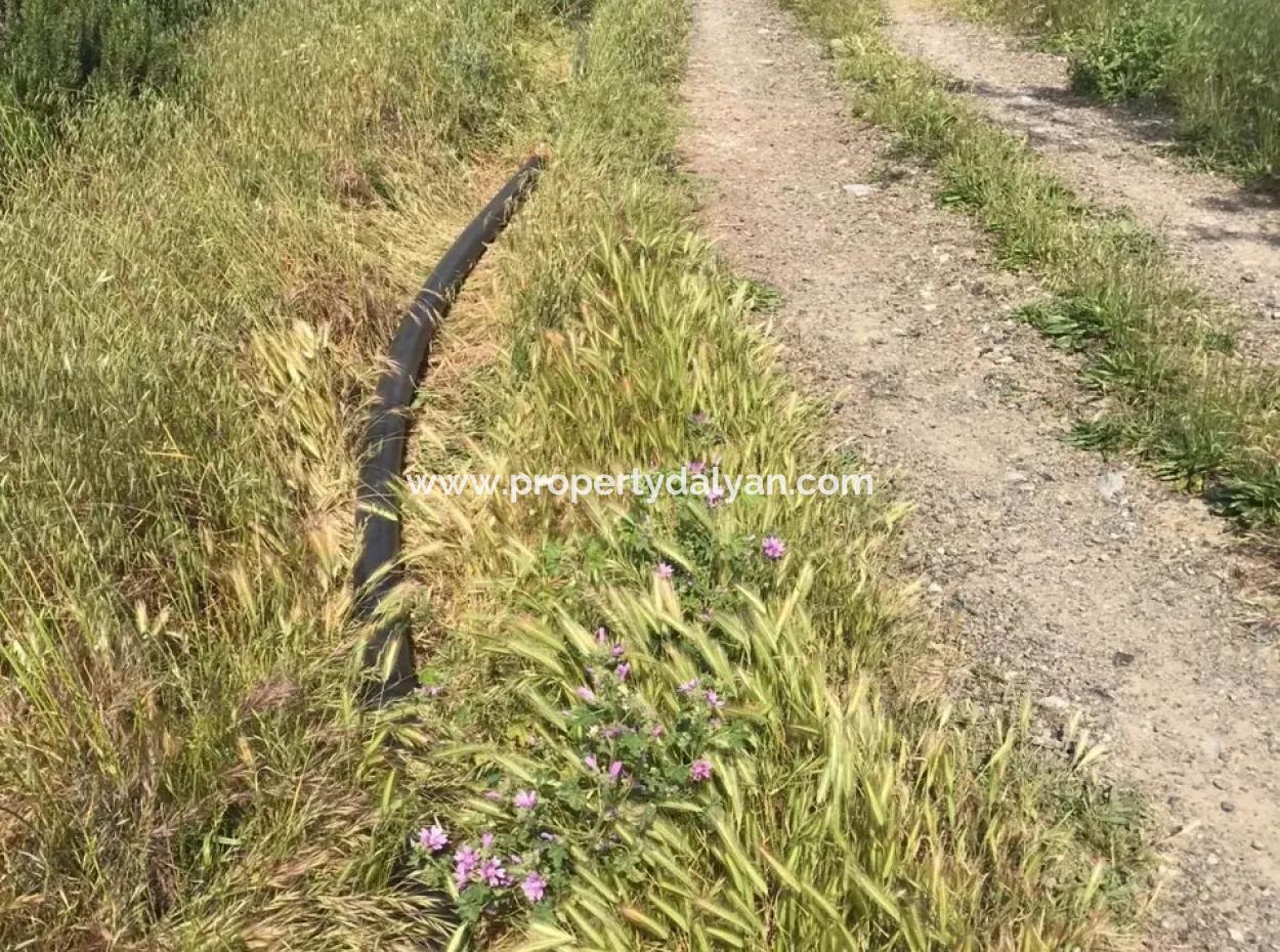 Seydikemer Korubükün Satılık 76000M2 Ciftlik Arazisi