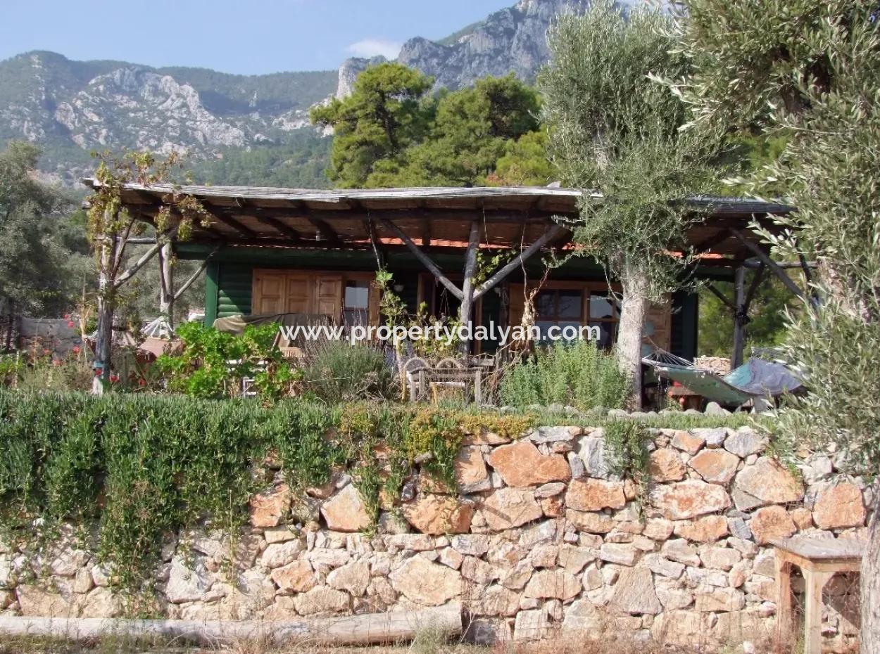 Akbük Satılık Denize Sıfır Bungolev Turnalı 800M2 Arsa İçinde Denize Sıfır Satılık Villa