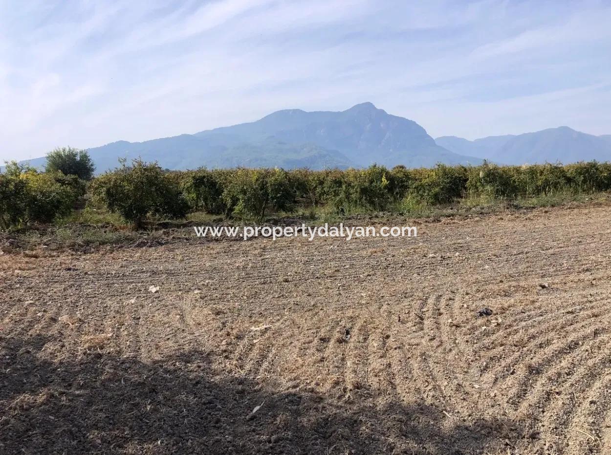 Esköyde Satılık Tarla Arsa 8500M2 Satılık Tarla Arsa