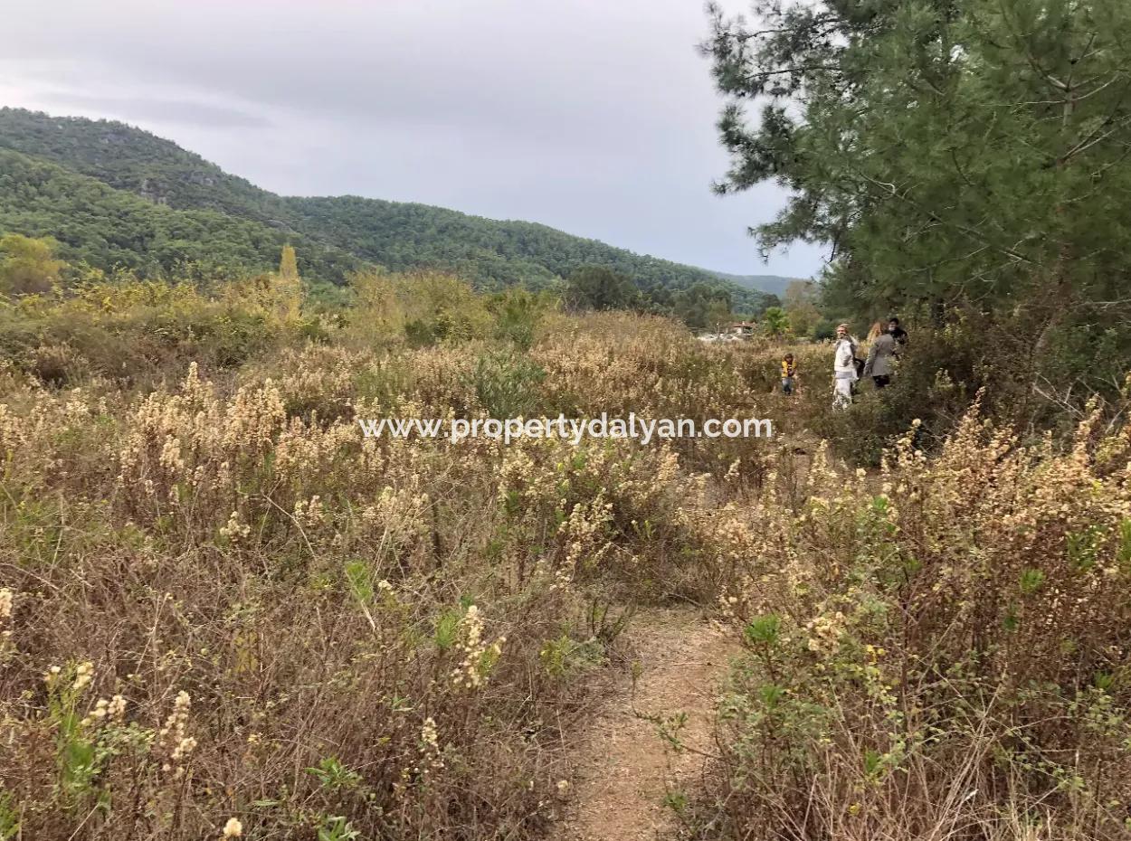 Çamlı Kanala Sıfır Satılık Arazi Arsa Çamlıda Deniz Manzaralı 28768M2 Satılık Arsa