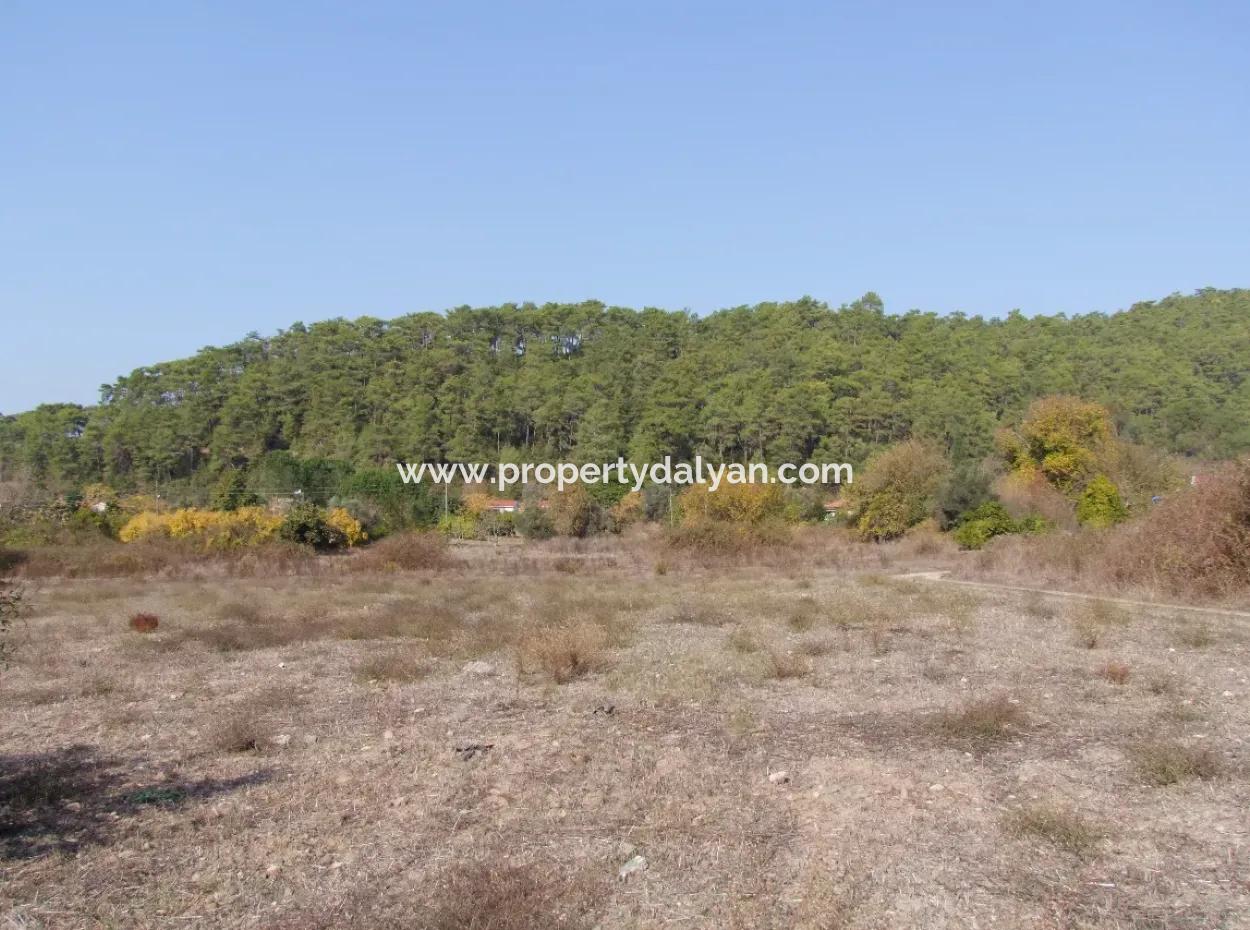 Çamlı'da Deniz Manzaralı 6850M2 İmarlı Satılık Arsa