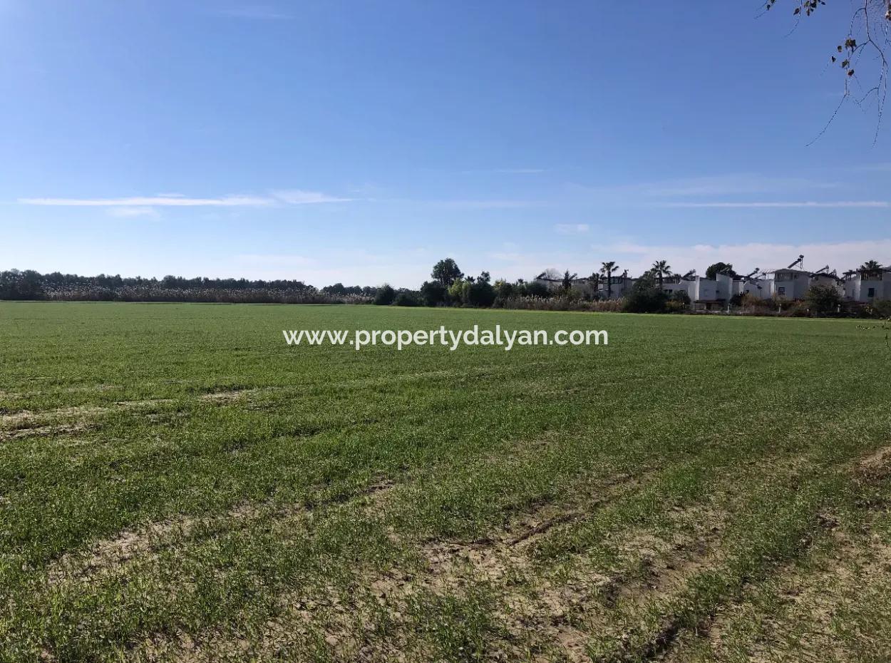 Sarıgermede Satılık Arsa Deniz Manzaralı 30,000M2 Satılık Arsa