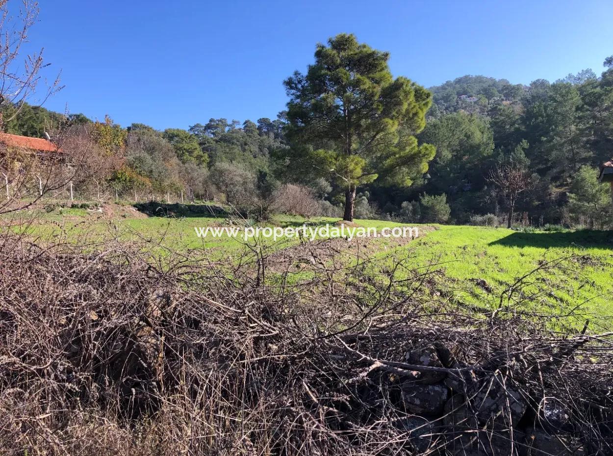 Gökbel Satılık Arsa Full Deniz Manzaralı 8000M2 Satılık Arsa