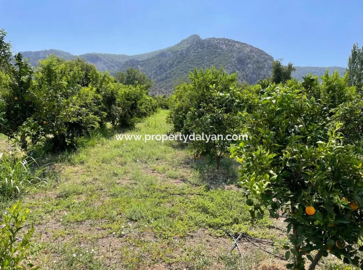 Dalyanda 7,500 M2 Arsa İçinde 19 Odalı Satılık Otel