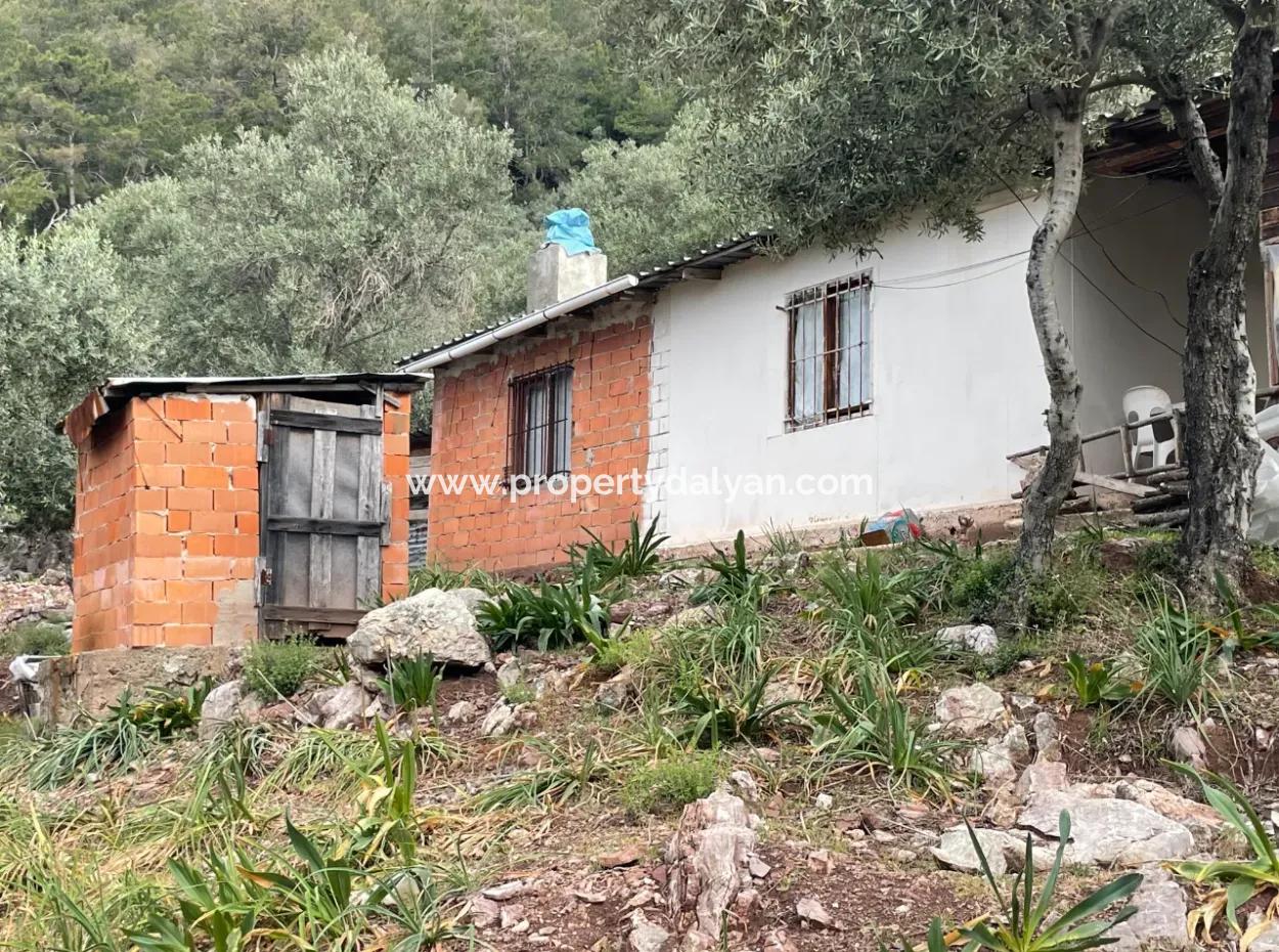 Ekincikde Deniz Manzaralı Zeytin Evi Satılıktır