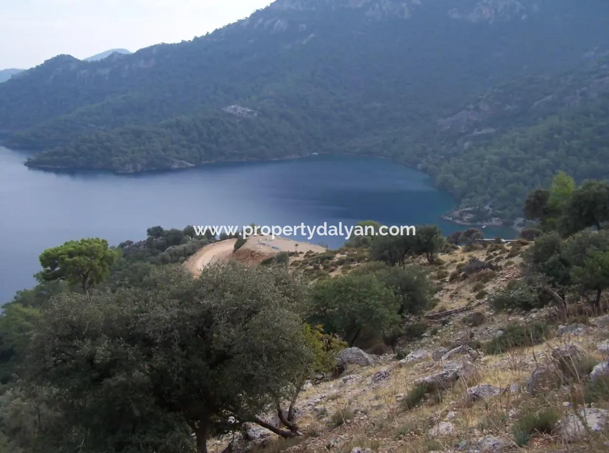 Sarsalada Deniz Manzaralı 4274M2 Arsa İçinde Satılık Taş Ev