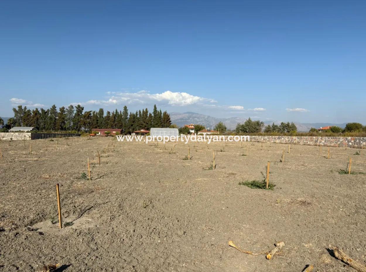 Eskiköy'de 19.663M2 Çiftlik Arazisi Ve Ev Satılıktır