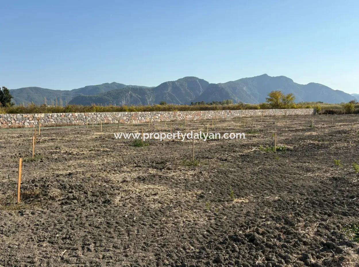 Eskiköy'de 19.663M2 Çiftlik Arazisi Ve Ev Satılıktır