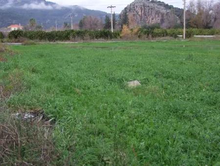 Dalyan Gülpınar Satılık Arsa Dalyan 1,002M2 Satılık Köşenası Satılık Arsa