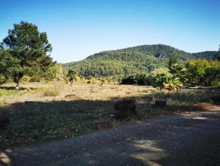 Çamlıda Satılık Arsa Arazi Marmaris Çamlıda Deniz Manzaralı 11720M2 Satılık Arsa