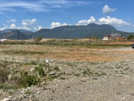 Dalyan İztuzu Plaj Yoluna Sıfır 19,600M2 Satılık Tarla Arazi