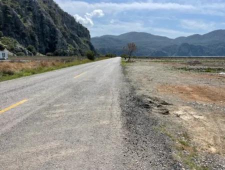 Dalyan İztuzu Plaj Yoluna Sıfır 19,600M2 Satılık Tarla Arazi